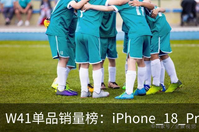W41单品销量榜：iPhone 18 Pro Max太让人嫉妒